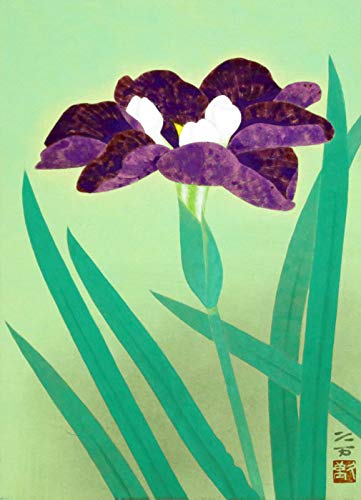 Amazon.co.jp: 向井久万『菖蒲』日本画 F4(4号) : ホーム＆キッチン